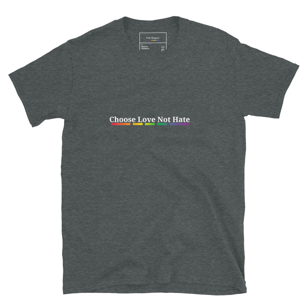 Choose Love Not Hate T-Shirt